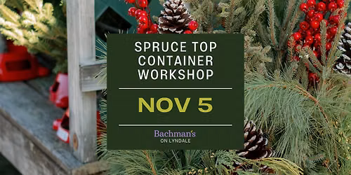 Spruce Top Container Design Workshop with Lea Nordos