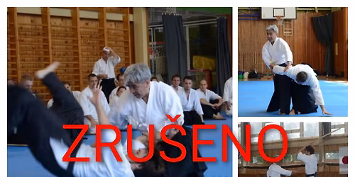 AIKIDO SEMIN\u00c1\u0158 - KOJI YOSHIDA SENSEI