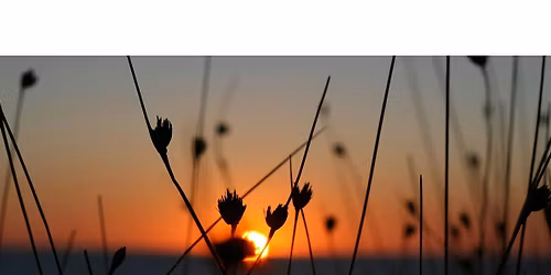 Autumn Sunset Stroll - Family Program, $4 cash per person upon arrival