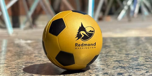 Let's Get Match Ready: World Cup Information and Strategy Session