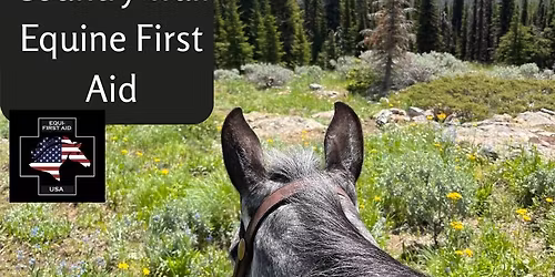 Back Country Trail Equine First Aid
