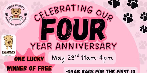 Roxie\u2019s 4 year anniversary party!!\ud83e\udd73