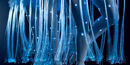 We call it Ballet: La Bella Addormentata in un Affascinante Spettacolo di Luci