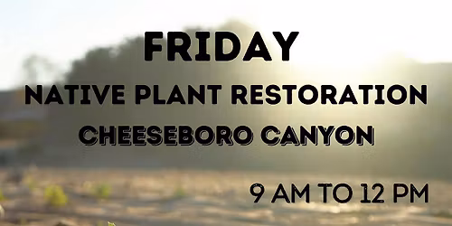 Friday Restoration: Cheeseboro Canyon - Coastal Sage Scrub