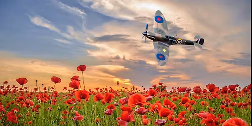 WATChya gonna do lol