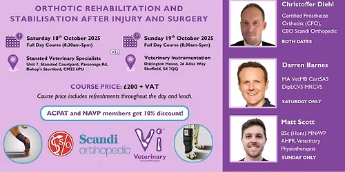 Orthotic Rehabilitation and Stabilisation after Injury and Surgery