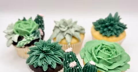 All Ages Succulent Cupcakes