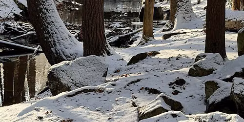 Mine Falls Park Trail Day