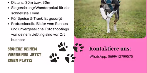 2. Pink Paws Hunderennen