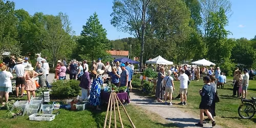 V\u00e4xtmarknad Rosenforsparken