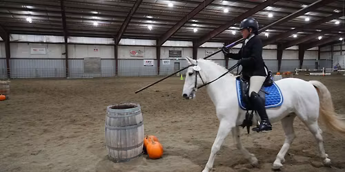Working Equitation Obstacle Clinic