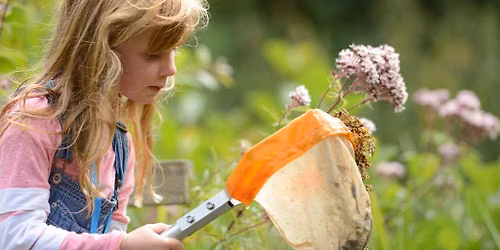 Pond-dipping at @CoastalKippford