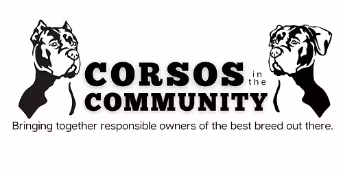 Cane Corso Meetup\u00ae \u2013 San Pedro Turkey Trot