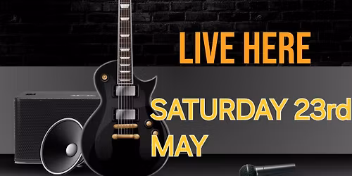 THE REPLAYS LIVE