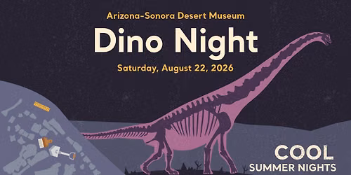 Dino Night (Cool Summer Nights) 