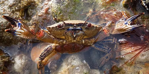 Sussex Wildlife Trust Annual General Meeting