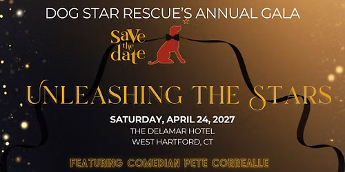 Save the Date: 2027 Unleashing the Stars Gala