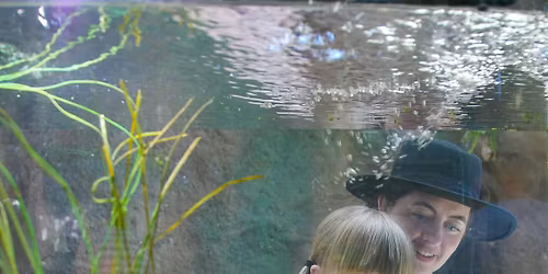 Family Camp: Joyeux Noel (Dec 20 AM)