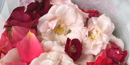 Roses, Roses, Healing Power of Roses: magical, medicinal, amazing roses