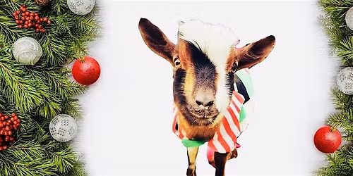 Holiday Goat Yoga Las Colinas!