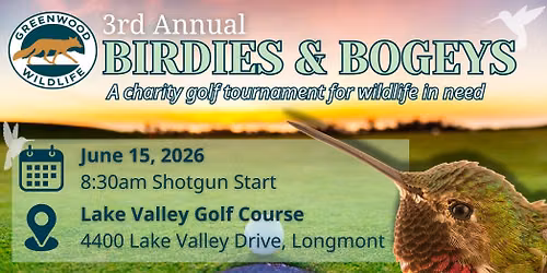 Birdies & Bogeys