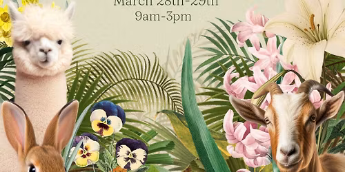 Annual Spring Open House @ Anderson