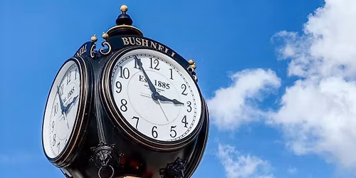 Light Up Bushnell with Santa in the Park!