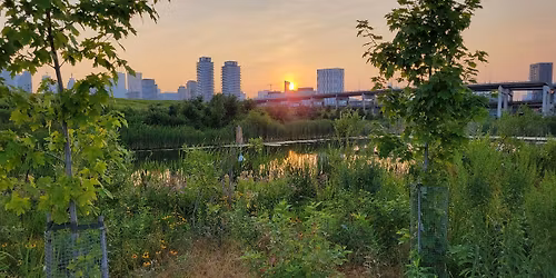 2026 City Nature Challenge at Biidaasige Park