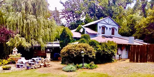 Christmas lunch 2025