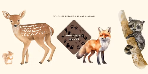 Whispering Woods Wildlife at Harvey\u2019s Garden