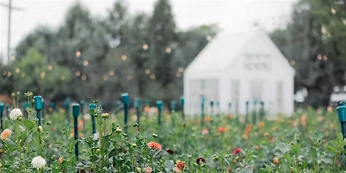 Sunday Dinner in the Field at Slupik Mini Farm with the Forage Sisters