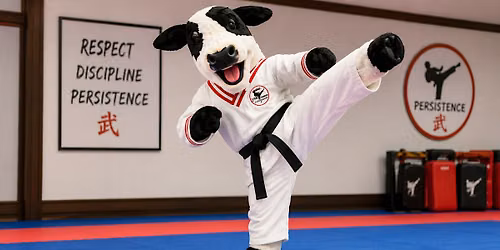 Martial Arts Training with Premier Martial Arts