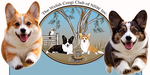 Welsh Corgi Club of NSW SprintDog\u2122 Trial