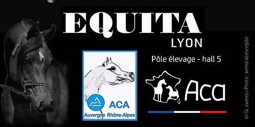 Salon Equita Lyon-Cheval Arabe et demi-Sang Arabe
