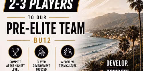 Ventura Surf Elite