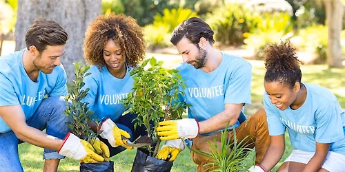 Mindful Giving: Maximizing Impact Through Intentional Service