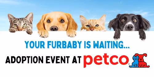 Adoption Event at Petco 