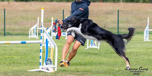 Agilitykurs med Tarjei Bratt Hveding-Gabrielsen 