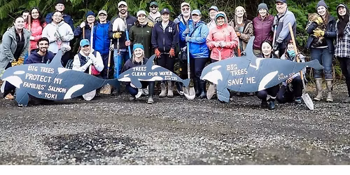 Big Soos Creek Salmon Restoration Event