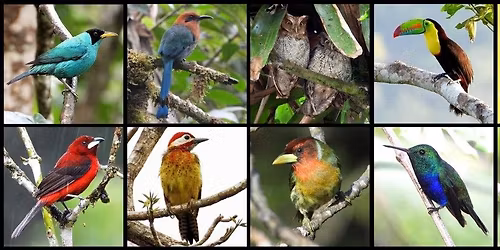 Dubuque Audubon December Program