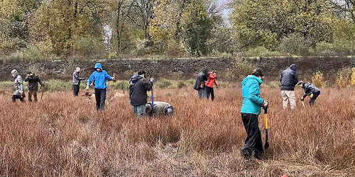Jackson Bottom Wetlands Planting
