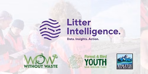 Litter Intelligence - Sumner Beach