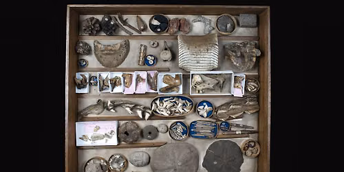Behind the Scenes Tours at the Sedgwick Museum Collections Research Centre