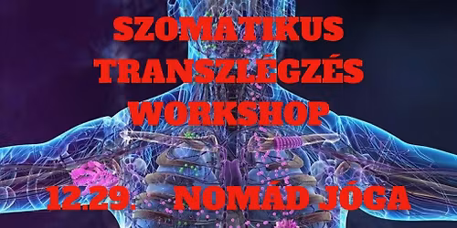 Szomatikus Transzl\u00e9gz\u00e9s Workshop
