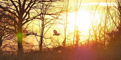 Stow Maries Great War Aerodrome: Dawn Patrol