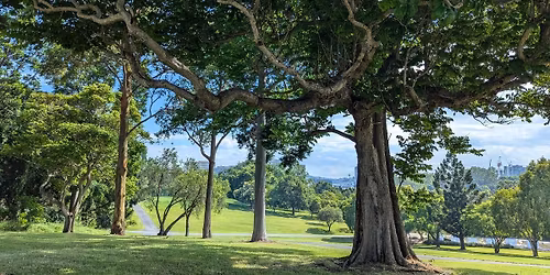 Sunrise celebration - Wed 12 November