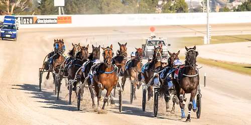 Ballarat Race Night - Dining Experience