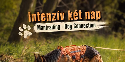 Intenz\u00edv k\u00e9t nap \ud83d\udea9BETELT\ud83d\udea9