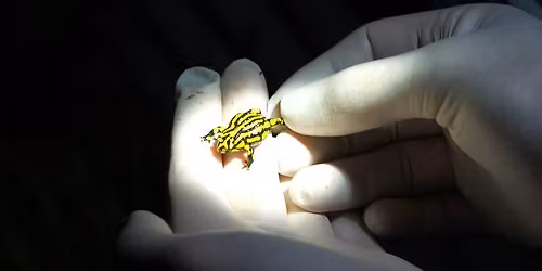 CSFF 2025 | Science in our world screening