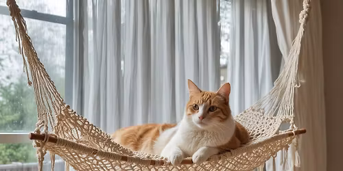 Macram\u00e9 with with Kitties - Ornament Making